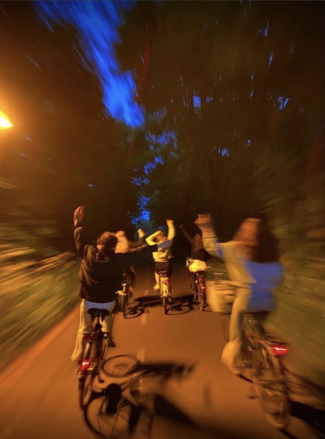 O Sonho Wolfi - Liberdade e Sucesso